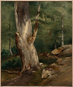 Old Beech Tree by Jean-Baptiste-Camille Corot