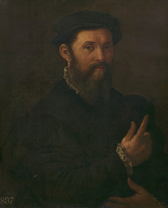 Portrait of a Man by Girolamo Mazzola Bedoli