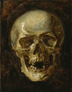 Skull by Anonymous