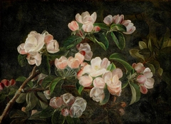 Still Life of Apple Blossom by French School