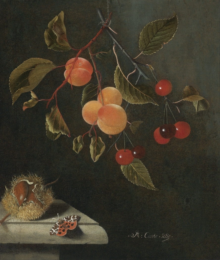 Still life with a Butterfly, Apricots, Cherries, and a Chestnut
