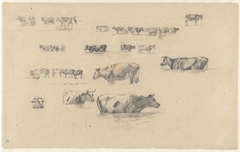 Studies van koeien by Guillaume Anne van der Brugghen
