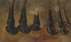 Study of six hooves