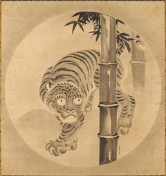 Tiger Emerging from Bamboo by Kanō Tsunenobu