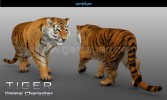 Tiger Quadruped Character Modeling by GameYan Studio