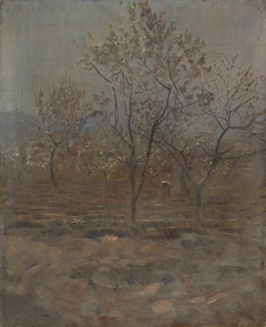Trees in Blossom by László Mednyánszky