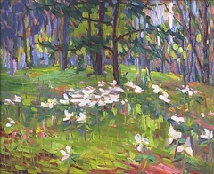 Trilliums by Lily Osman Adams