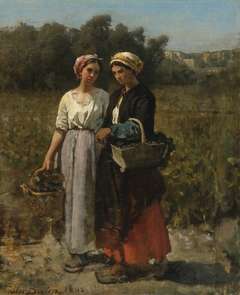 Two Young Women Picking Grapes