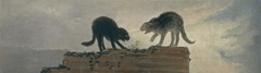 Cats fighting by Francisco de Goya