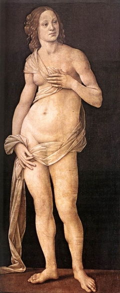 Venus by Lorenzo di Credi