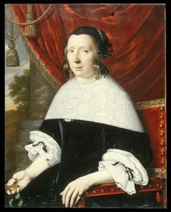 Portrait of a Woman by Pieter Nason
