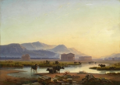 View of the temples of Paestum in the evening light / Water buffalo in the Campagna