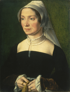 Wife of a Member of the de Hondecoeter Family by Anonymous