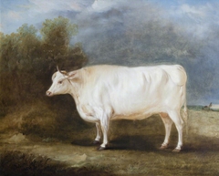 A Prize Ox in a Landscape