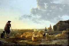 A Shepherd and His Flock