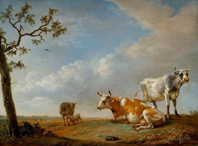 Animals Resting in the Pasture
