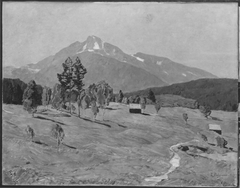 Bergmoos bei Seefeld in Tirol by Ludwig Bolgiano