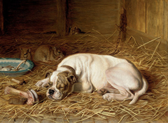 Caught napping by Horatio Henry Couldery