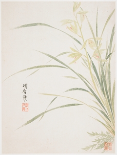 Epidendrum Blossom from a Flower Album of Ten Leaves by Xiang Shengmo