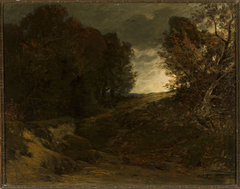 Forest landscape with a creek