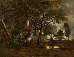 Forest of Fontainebleau, Cluster of Tall Trees Overlooking the Plain of Clair-Bois at the Edge of Bas-Bréau by Théodore Rousseau