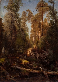 Forest Study by August Cappelen