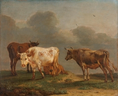 Four Cows in a Meadow