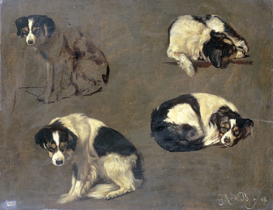 Four Studies of a Dog
