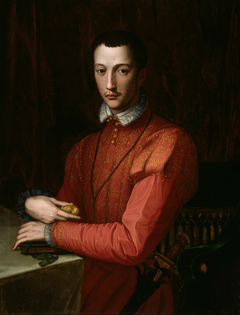 Francesco de' Medici by Anonymous
