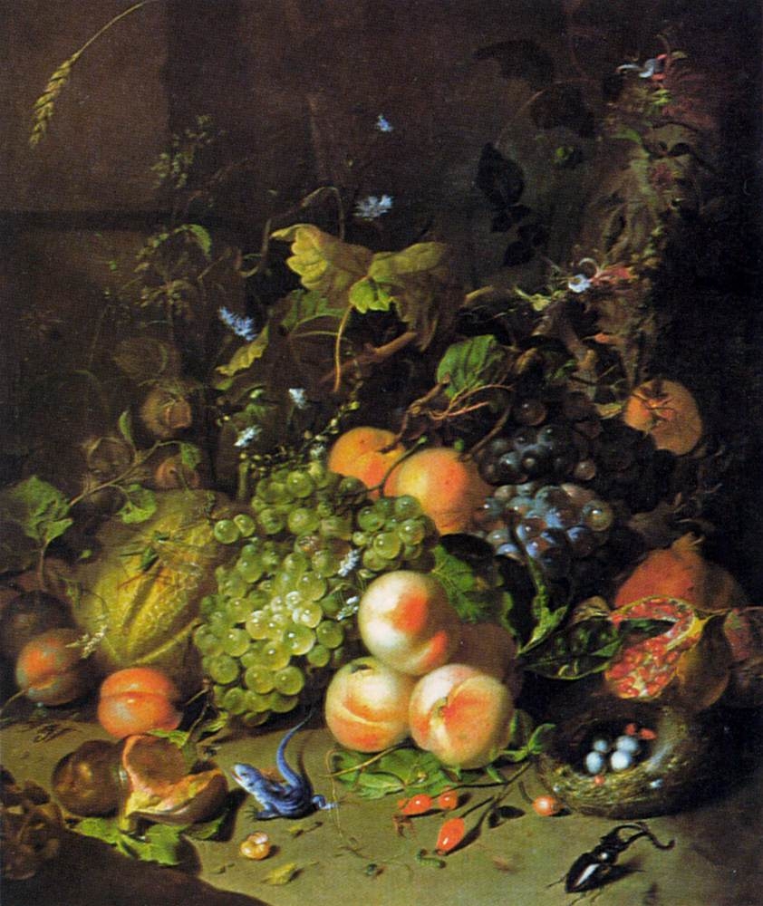Fruit, a nest, a lizard and insects in a wood