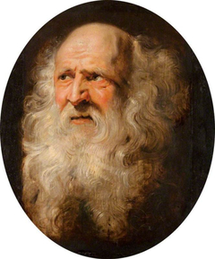 Head of an Old Man by Peter Paul Rubens