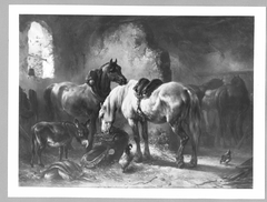 Inneres eines Pferdestalles mit vier Pferden und Esel