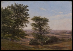 Landscape with Oaks