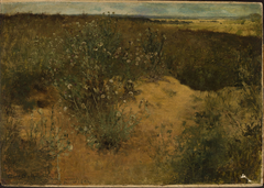 Landscape with thistles by Curt Agthe