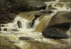 Mountain Torrent with Small Waterfall by Paul Weber