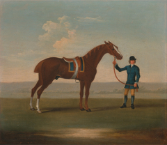 One of Four Portraits of Horses - a Chestnut Horse (? Old Partner) held by a Groom: standing facing right, wearing blue saddle-cloth edged with gold; the groom in blue... by Anonymous