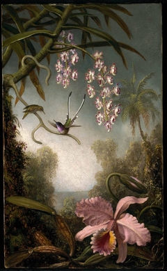 Orchids and Spray Orchids with Hummingbird by Martin Johnson Heade