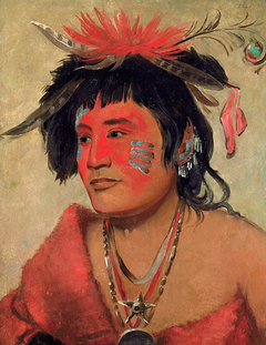 Pah-shee-náu-shaw, a Warrior by George Catlin