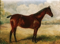 Portrait of a hunter by Anonymous