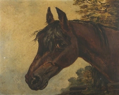 Soulful Bay Horse's Head by Anonymous