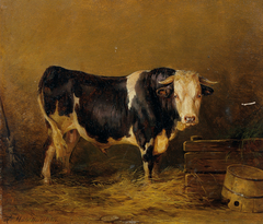 Stier im Stall by Edmund Mahlknecht