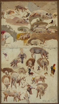 Studies of pigs by Maria Klass-Kazanowska