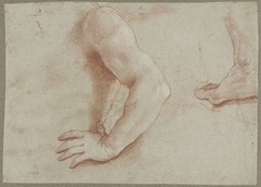 Studies voor lichaamsdelen van de heilige Floriaan by Guido Reni