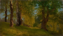 Study of a Wood by August Cappelen