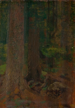 Study of Forest by Nándor Katona