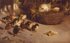 The death of the chick
