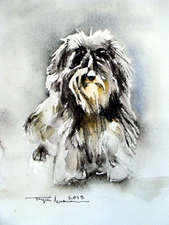 The little dog by Mugur Popa