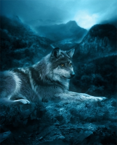 The Lone Wolf by Dania