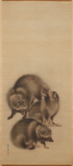 Three Raccoon Dogs by Mori Sosen