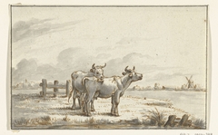 Twee koeien in de wei by Jean Bernard
